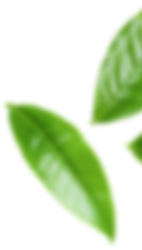 bg1