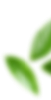 bg1